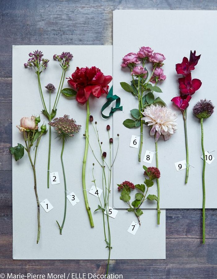 10 fleurs pour 3 bouquets d automne d 233 coration 10 fleurs pour 3 bouquets d automne d 233 coration