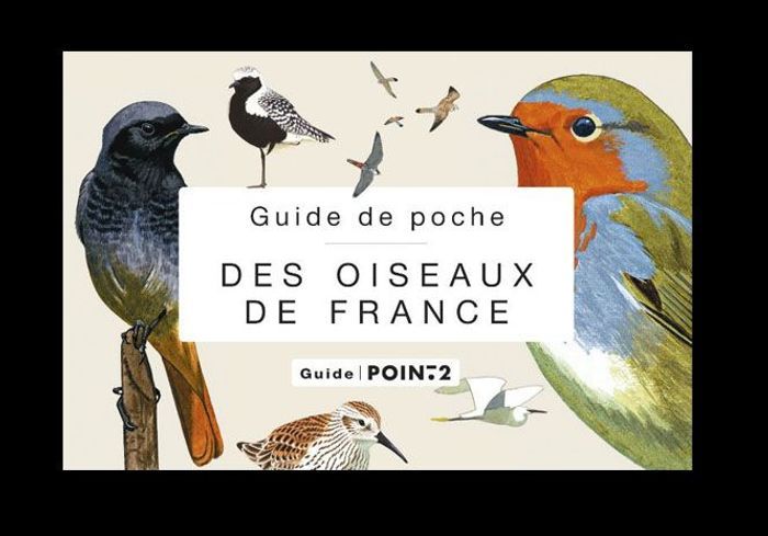 Guide De Poche Des Oiseaux De France - Livres : le top ten du ELLE - Elle