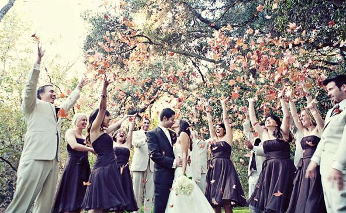 Résultat de recherche d'images pour "sortie mariage feuillage"